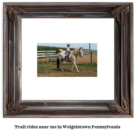 trail rides near me in Weigelstown, Pennsylvania